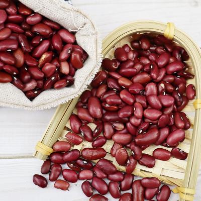 China England dry red kidney beans of kidney beans/high quality dark red kidney beans in cheap bulk/purchase for sale