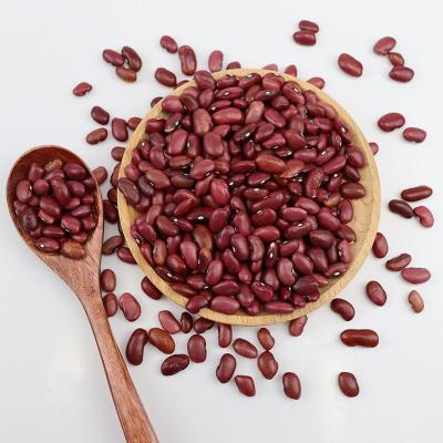 China Dried Canned Red Kidney Beans Chinese Canned Dark Red Kidney Beans In Brine With High Quality for sale