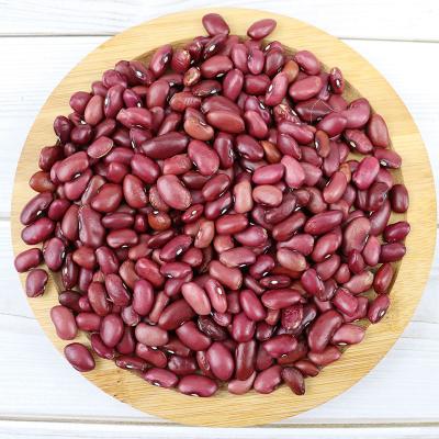 China Wholesale Dried Long Shape Red Purple Dwarf Beans High Quality Shimmer Red Dwarf Beans Bulk Factory Price Dark Red Dwarf Beans for sale