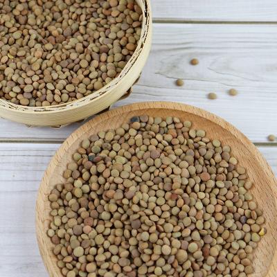 China Quality Dry Bulk Dried Lentils Red Lentils Green Lentils for sale