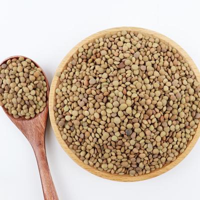 China GOOD dried GREEN LENTILS/RED LENTILS/YELLOW LENTILS from CHINA for sale