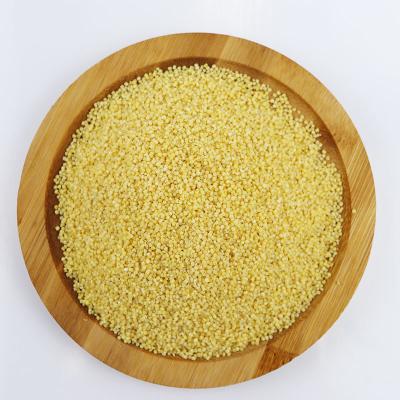 China DRY PEARL MILLET EXPORTERS IN INDIA for sale