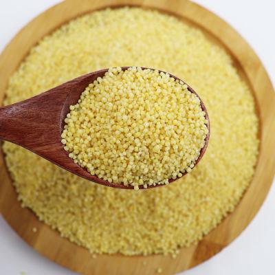 China Wholesale Cheap Price 100% Organic Dry Hulled Yellow Millet for sale