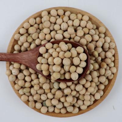 China Whole Pigeon Peas Dried Whole Yellow Peas Cheap Price Best/Pea Quality for sale