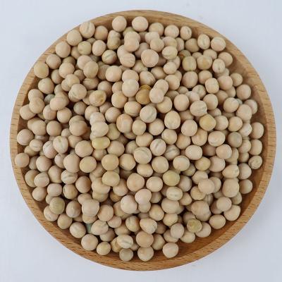 China New Quality Field Dry Raw Whole Peas With Competitive Price Natural Healthy Product Non GMO Raw Peas for sale