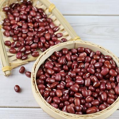 China Good quality dried kidney beans at bulk market price for sale