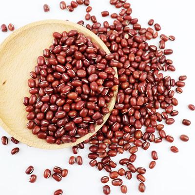 China HIGH QUALITY DRIED RED RED BEANS FROM VIETNAM 2021/Whatsapp +84 845 639 639 for sale