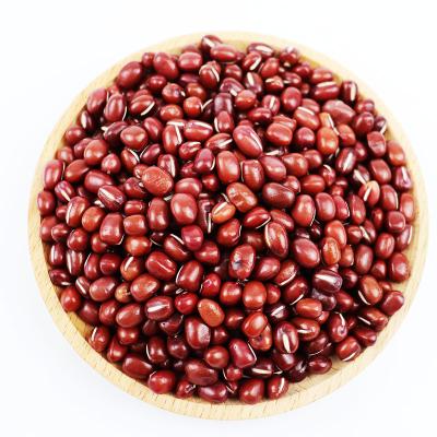 China High Quality Japanese Wholesalers Dry Red Bean for sale