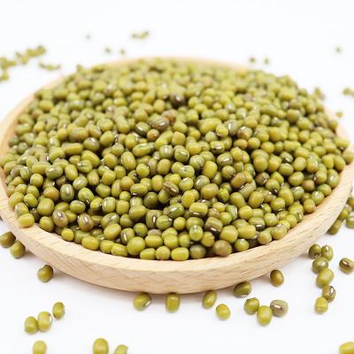 China Best Seller 3.25mm Green Dried Mung Beans Up From Myanmar Origin for sale