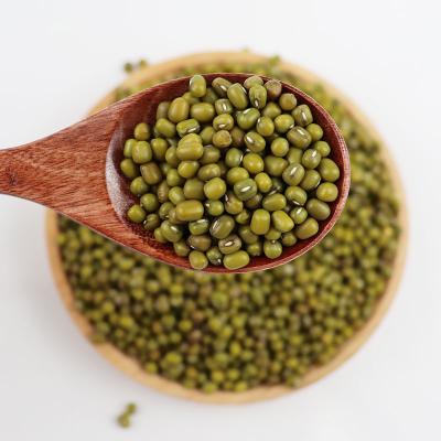 China Best Wholesale High Quality Sale High Quality Dry Mung Bean Vigna Green Mung Beans For Good Price for sale