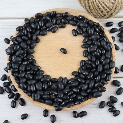 China Dried Dried Black Kidney Beans Available For Wholesale Price for sale