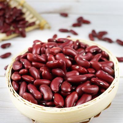 China Hot Selling Dark Red Kidney Beans Dried Red Kidney Beans With Export Price for sale