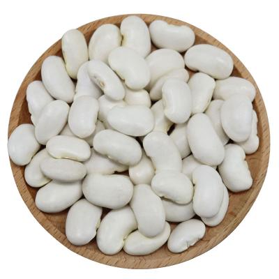 China New Culture Best Quality Low Price Agriculture Wholesale Product Dried Bulk Kidney Beans For Sale From Egypt for sale