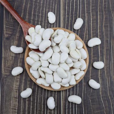 China Dried white kidney beans for sale