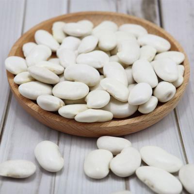 China Dried Kidney Bean White Beans For Sale for sale