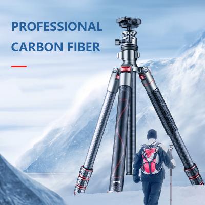 China Professional Carbon Fiber PORTABLE Camera Tripod with Quick Release Plate and Ball Head for sale