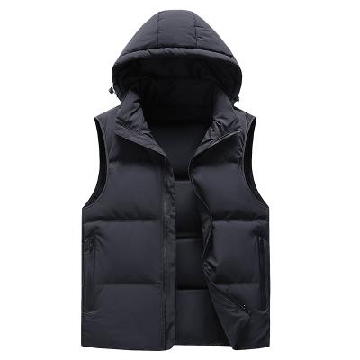 China Anti-Wrinkle New Arrival Winter Stripper Vest Men's Cotton Down Custom for sale