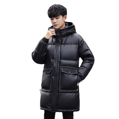 China New Arrival Men's Mid Length Hooded Casual Warm Comfortable Winter QUICK DRY Down Stripper Jacket for sale