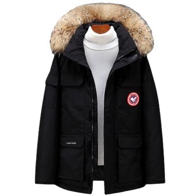 China Autumn QUICK DRY Winter Raccoon Duck Down Collar Outdoor Warm Men's Fur Down Jacket for sale