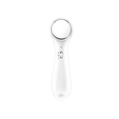 China ABS & Stainless Steel Made In China Face Beauty Device Portable Massager Led Facial Massager for sale