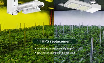 China Seed Starting Factory Directly To Wholesale Full Wide Spectrum LED Grow Light 800W/650W To Replace 1930e And HPS 1000W for sale