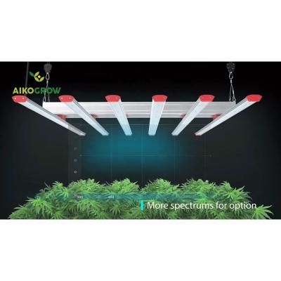 China Seed Starting 2021 Best Shenzhen Grow Led Horticulture 6 Bars Led Grow Light With Timer 600w Led Full Spectrum Grow Light Grow Light for sale