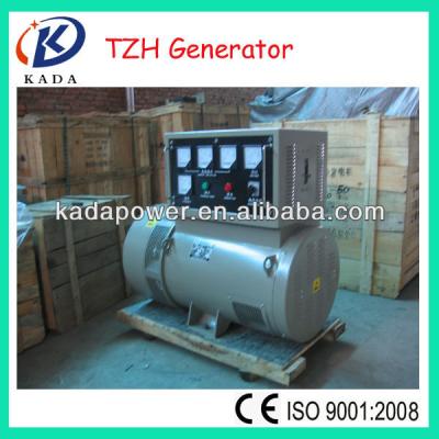 China Cold Roll Stator & 100% series copper small brush alternator electric generator dynamo TZH for sale