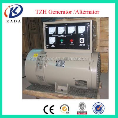 China Cold Roll Stator & 100% TZH Generator Brush Alternator Copper Generator Set Without Engine for sale