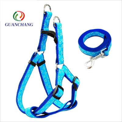 China Viable Hot Selling Fashionable Colorful Dog With Dog Training Dog Collar And Leash Set for sale