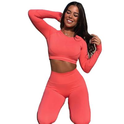 China Breathable Workout Clothes Seamless Sports Bra Yoga Leggings 2 Piece Set Seamless Yoga Set Sport Wear Gym Clothes for sale