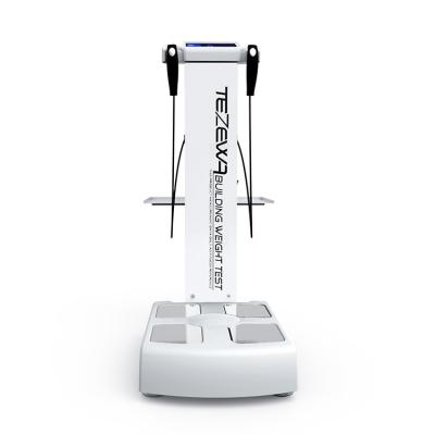 China Professional Wholesale Gym Human Body Composition Analyzer Body Composition Analyzer With Printer for sale