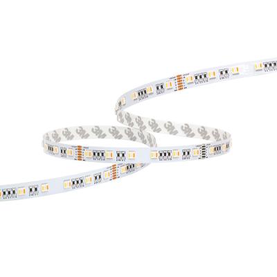 China Residential IP20 5050 RGBWCW 5 in 1 LED Strip 60LEDs 24V 24W LED Strip for sale