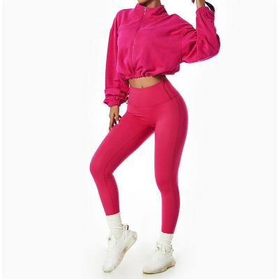 China Wholesale Full Windproof Zipper Up Cotton Sweatshirt Sportswear Manufacturer Women Sportswear Set for sale