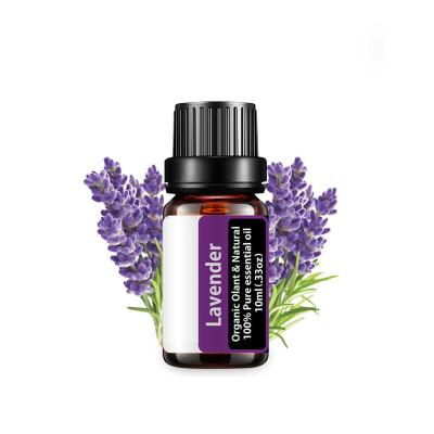 China 100% Pure Natural Organic Lavender Diffuser Private Label Refreshing Essential Oil for sale