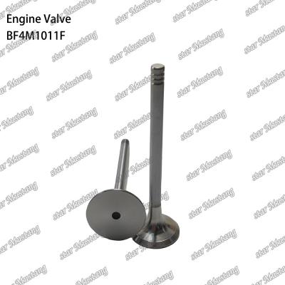 China BF4M1011F Engine Piston Valve For Deutz Engine Spare Parts for sale