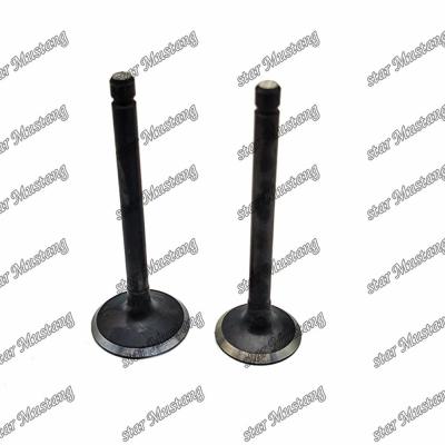 China Dieselmotoronderdeel Original Stock Integral Structure Valve F2302 IN 17331-13110 EX 17331-13120 Met online ondersteuning na Te koop