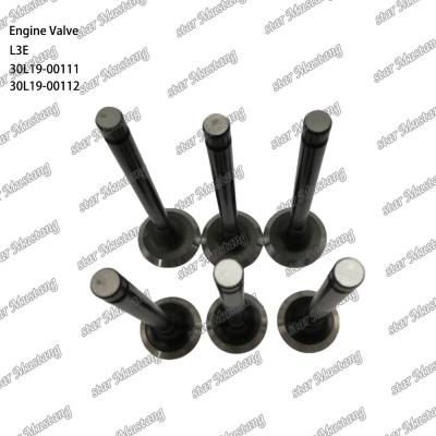 China L3E 30L19-00111 30L19-00112 Diesel Engine Valve Suitable for Mitsubishi Spare Parts for sale