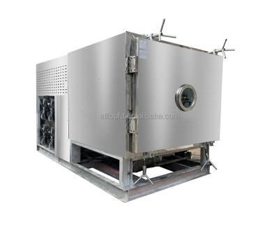 China 2022 china 20kg 25kg Industrial commercial vacuum lyophilizer food freeze dryer for sale