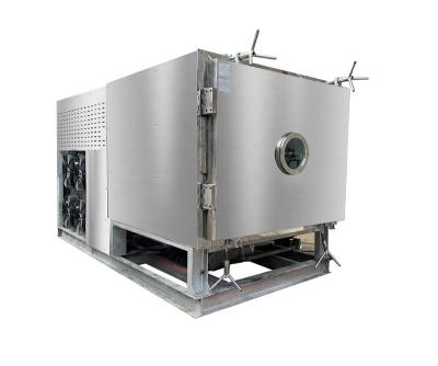 China 2022 china small Industrial commercial vacuum lyophilizer food freeze dryer for sale