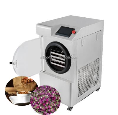 China CE TOPT-10A home mini freeze dryer machine for pet food meat coffee milk for sale