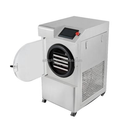 China New Arrival High Standard Practical Custom Vacuum Small Home Food Freeze Dryer for sale