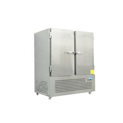 China -45 Industrial Iqf chicken vegetable fruit small air blast freezer container for sale for sale