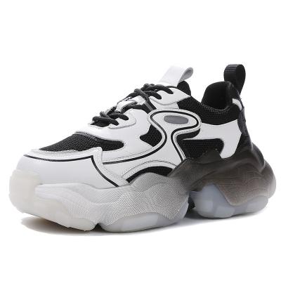 China Hot Selling Trendy Dad Shoes Latest Fashion Trend Chunky Sneakers for sale