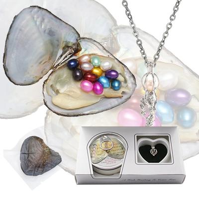 China Wholesale Colorful Freshwater Pearl Oyster Wish Love Oyster Pearl Round Pearl Pendant Necklace for sale