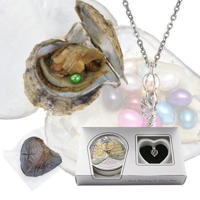 China Wholesale Freshwater Pearl Oyster Boxed Set Boxed Per Pearl Freshwater Pearl Oyster Wish Freshwater Pearl for sale