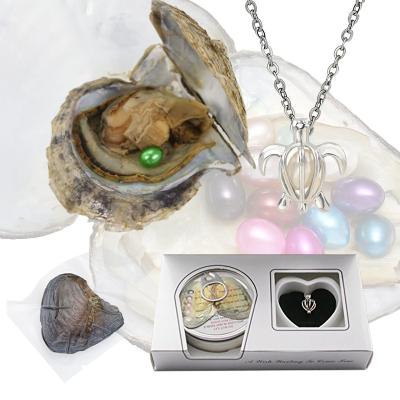 China Wholesale Freshwater Pearl Freshwater Pearl Canned Freshwater Pearl Oyster Love Wish Pearl Canned Oyster Pearl Set for sale