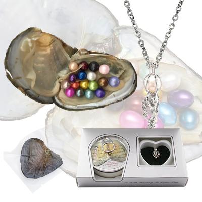 China Wholesale Freshwater Pearl Necklace Kit Set Freshwater Pearl Oyster Pendant Gift Set Oyster Boxed Pearls for sale