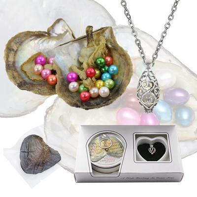 China Wholesale Natural Freshwater Pearl Necklace Real Frozen Pearl Oyster Boxed Shell With Its Pending Necklace and Kit Set for sale