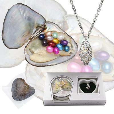 China Wholesale Freshwater Pearl Oyster Pearl Oyster Gift Pearl Oyster Necklace Set Oyster Pearl Necklace Freshwater for sale