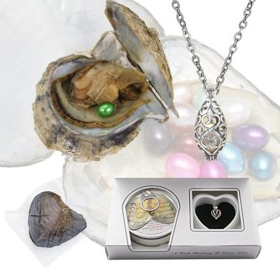 China Wholesale Freshwater Pearl Pearl Oyster Pearl Necklace Set Oyster Pearl Necklace Oyster Freshwater Pearl for sale